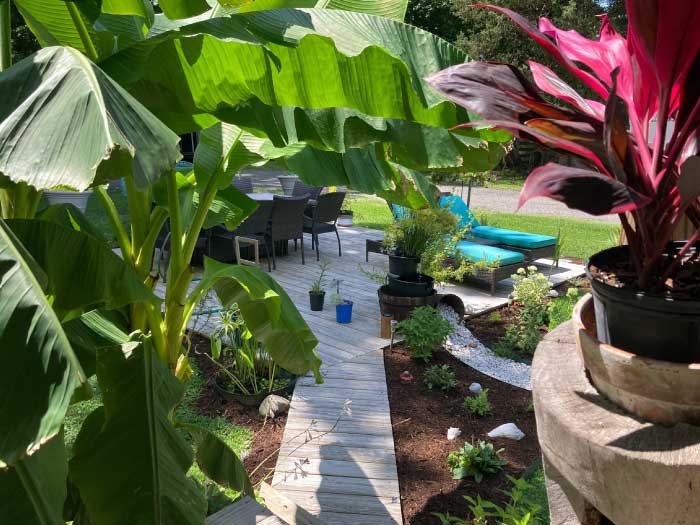 Landscape Design from Coastal Roots Landscape & Design