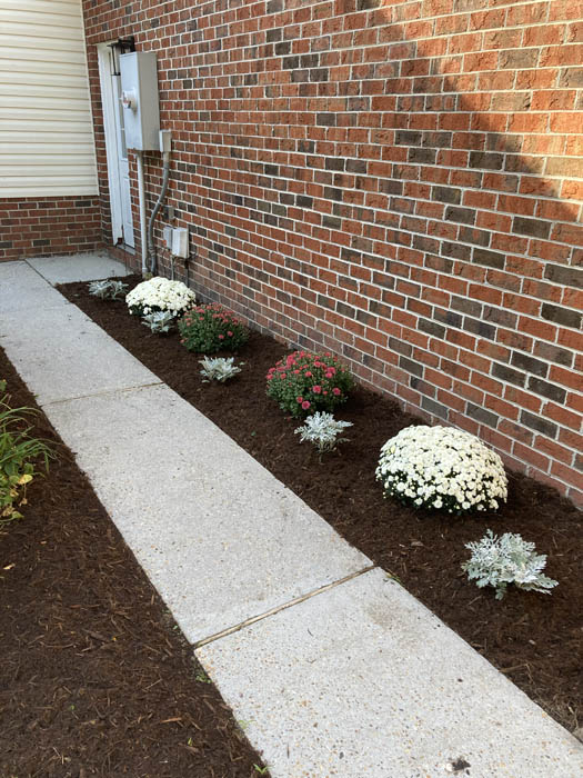 Landscape Design from Coastal Roots Landscape & Design