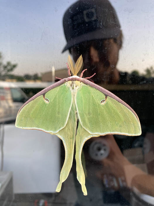 Landscape Design from Coastal Roots Landscape & Design