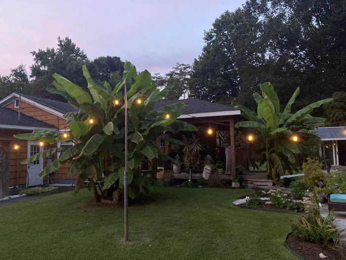 Landscape Design from Coastal Roots Landscape & Design