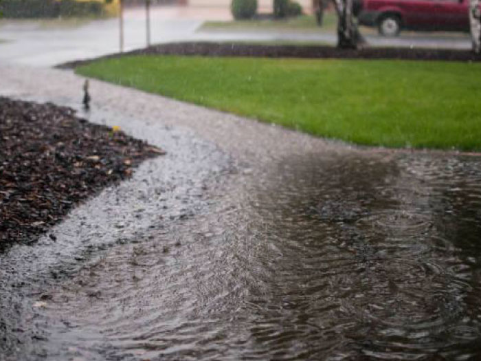 Landscape Design from Coastal Roots Landscape & Design