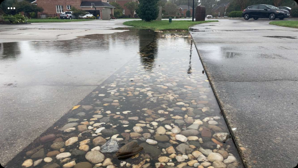 Drainage Solutions from Coastal Roots Landscape & Design