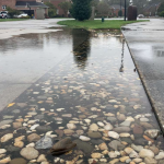 Drainage Solutions from Coastal Roots Landscape & Design