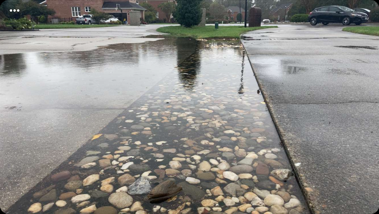 Drainage Solutions from Coastal Roots Landscape & Design