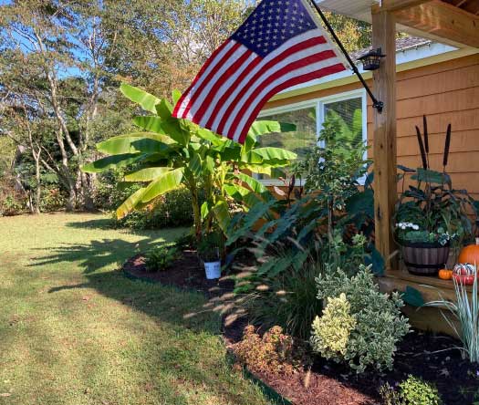 shrub-installation Landscape Design from Coastal Roots Landscape & Design