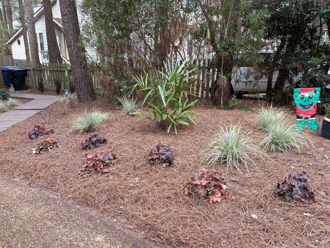 Landscape Design from Coastal Roots Landscape & Design